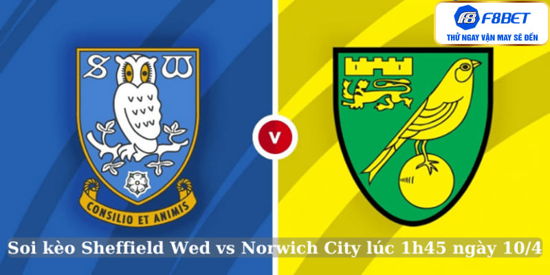 Soi kèo Sheffield Wed vs Norwich City lúc 1h45 ngày 10/4