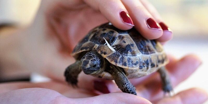 Cứ nỗ lực là sẽ đạt được những thành quả 